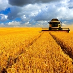 GGC welcomes regulatory reform and supply chain reliability commitments
