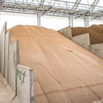IFA Innovation Hub launches landmark report to accelerate fertilizer innovation