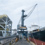 Liebherr MHCs expand their leading market position in 2025