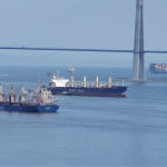 Pacific Basin and Nihon Shipyard sign zero-emission vessels MoU 