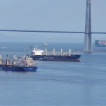 Pacific Basin announces stable financial results in unusually flat freight market 