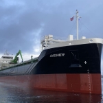 Repeat Aasen bulk carrier order emphasises Wärtsilä hybrid strength 