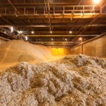 Rotterdam biomass imports grow 