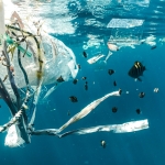 Shipping takes major sustainable plastic step with toolkit from MACS