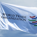 U.S. opposes Okonjo-Iweala as next WTO chief