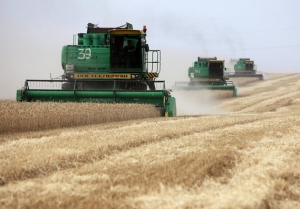 Ukraine’s agricultural export record