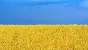Ukrainian Grain Association call for humanitarian aid