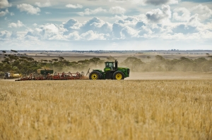 Urea price dive hits Australian grain suppliers