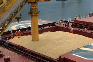 US Soybean growers disappointed in 2;4-D Anti-Dumping and Countervailing Duties vote